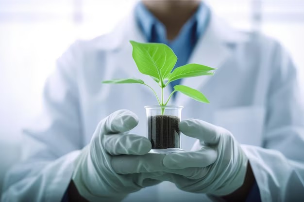 Eco-Friendly Plant